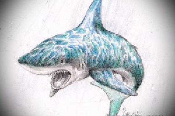 Kraken ссылка tor