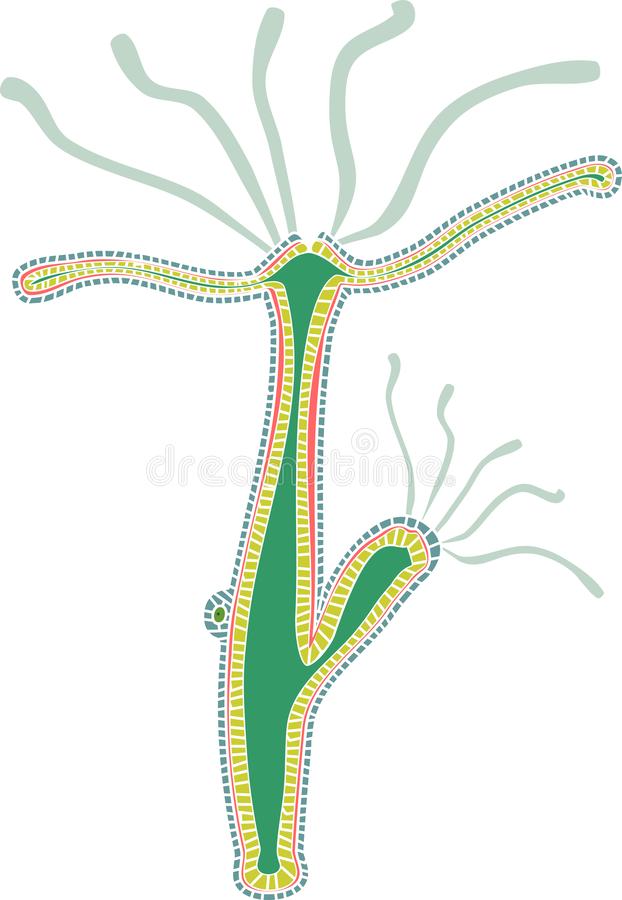Сайт кракен россия